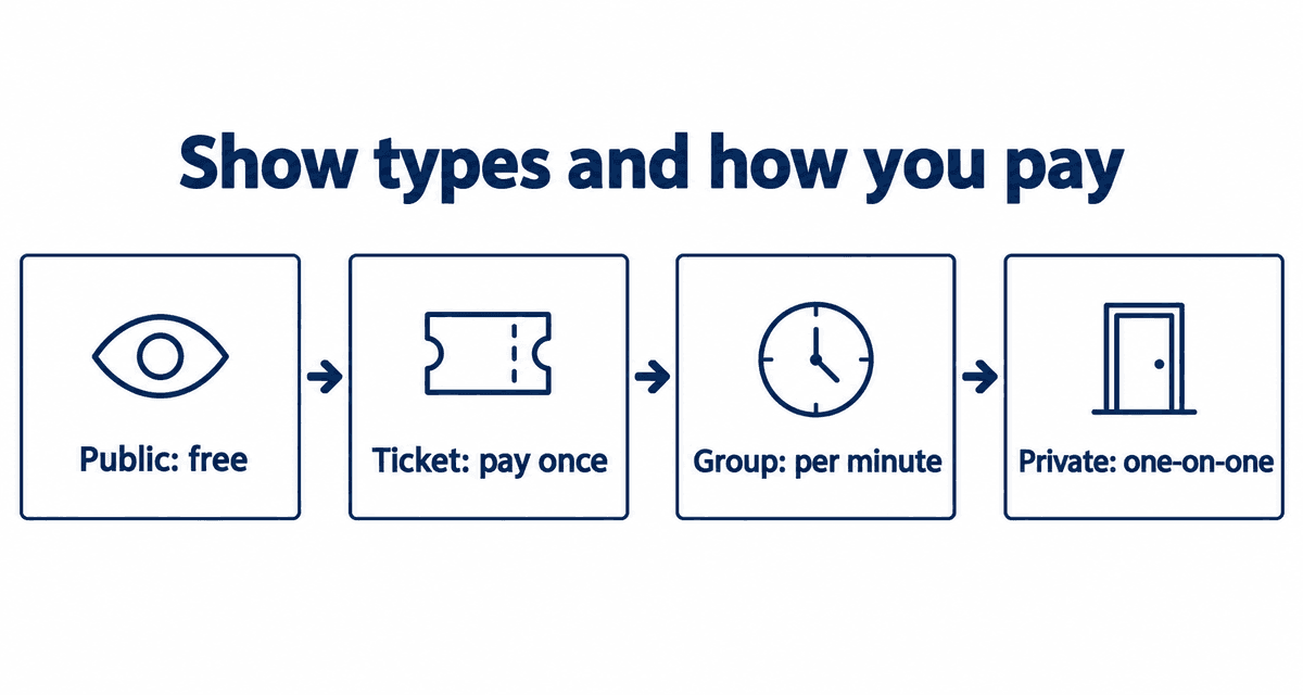 Stripchat show types and how you pay: public is free, ticket is paid once, group is per minute, private is one-on-one