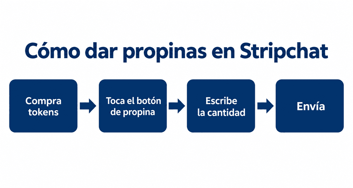 Cómo dar propinas en Stripchat: compra tokens, toca el botón de propina, escribe la cantidad y envía
