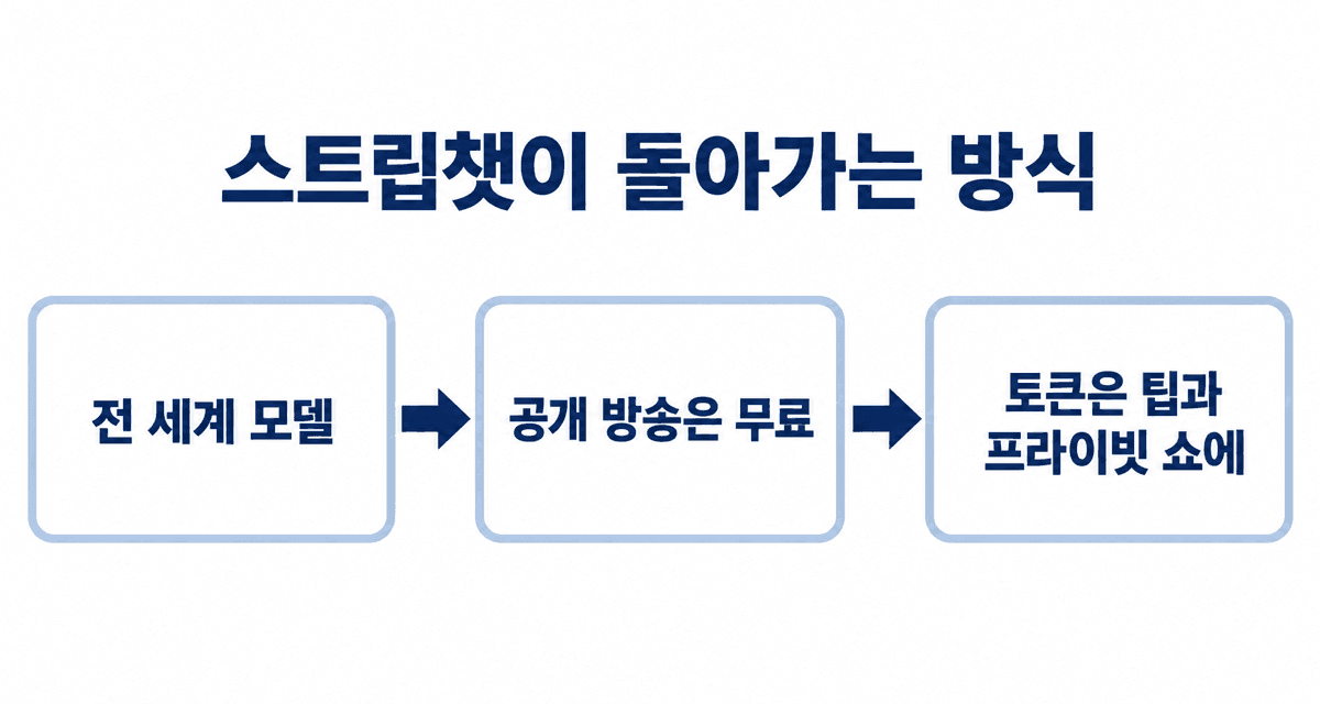 스트립챗이 돌아가는 방식: 전 세계 모델, 공개 방송은 무료, 토큰은 팁과 프라이빗 쇼에 사용