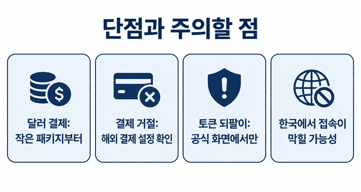단점과 주의할 점: 달러 결제는 작은 패키지부터, 결제 거절은 해외 결제 설정 확인, 토큰 되팔이는 피하고 공식 화면에서만 구매, 한국에서 접속이 막힐 가능성