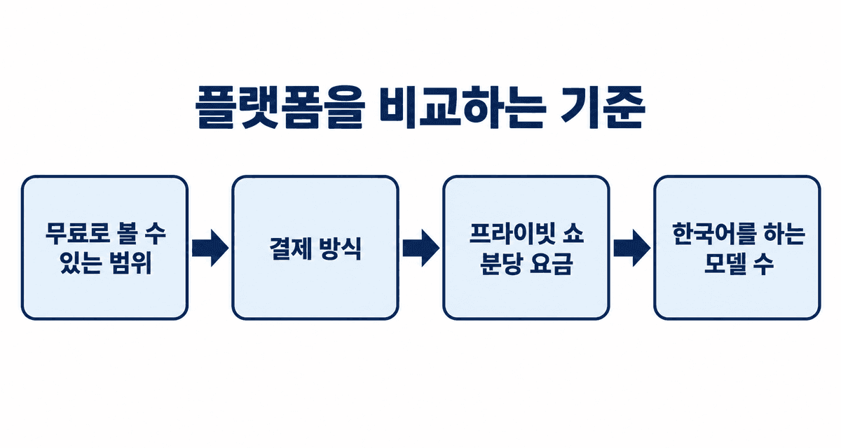 플랫폼을 비교하는 기준: 무료로 볼 수 있는 범위, 결제 방식, 프라이빗 쇼의 분당 요금, 한국어를 하는 모델 수