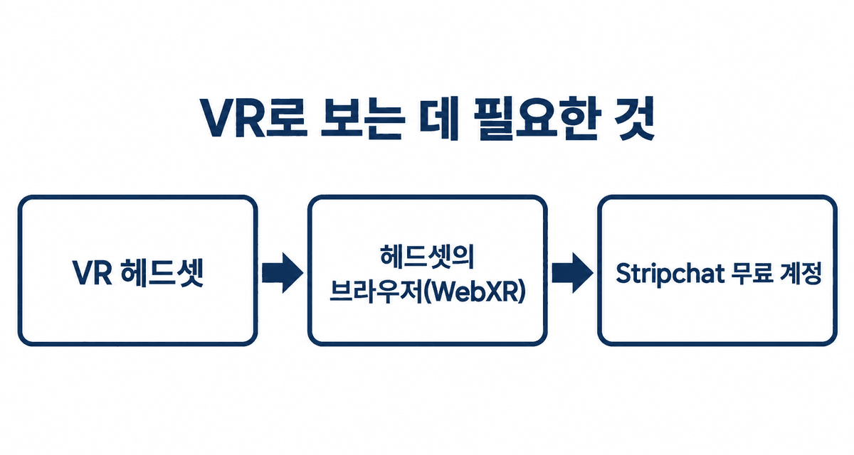 VR로 보는 데 필요한 것: VR 헤드셋, 헤드셋의 브라우저(WebXR 지원), Stripchat 무료 계정