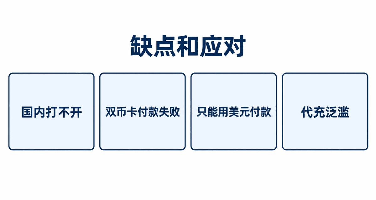 缺点和应对：国内打不开、双币卡付款失败、只能用美元付款、代充泛滥
