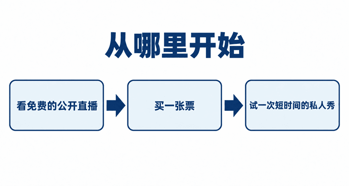 从哪里开始：看免费的公开直播→买一张票→试一次短时间的私人秀