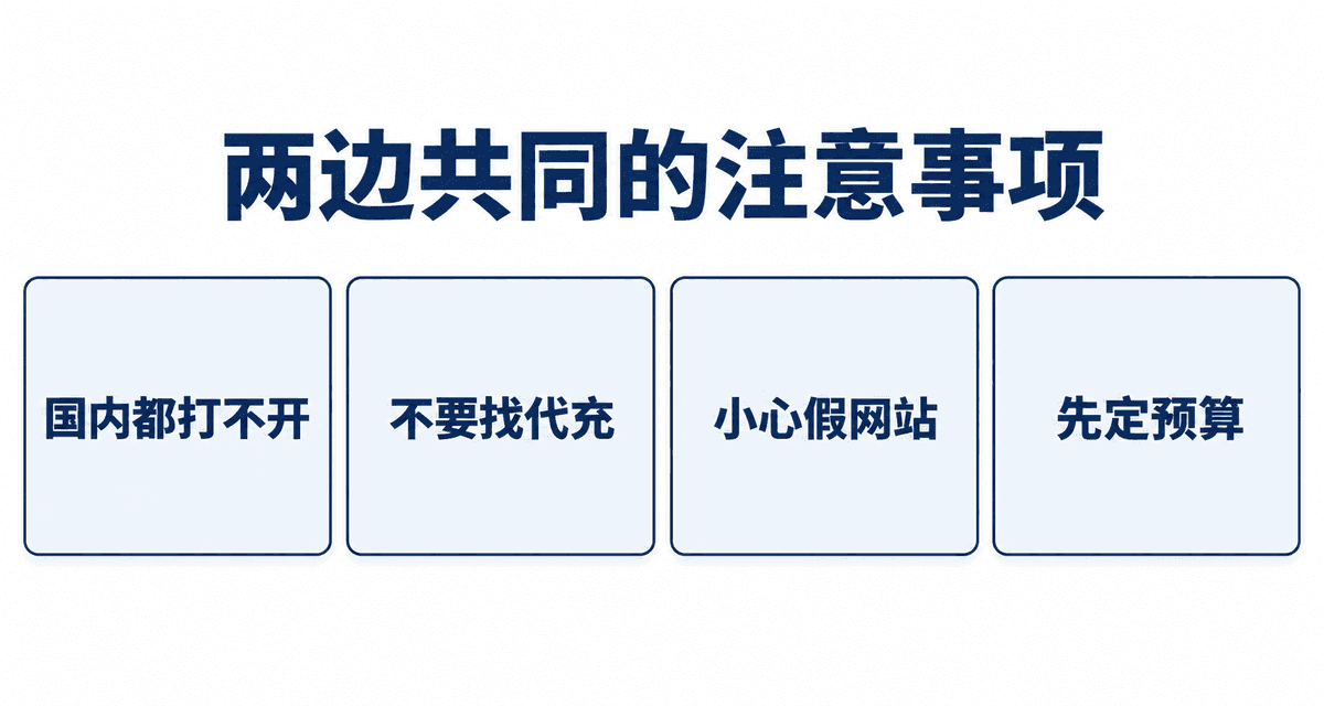 两边共同的注意事项:国内都打不开、不要找代充、小心假网站、先定预算