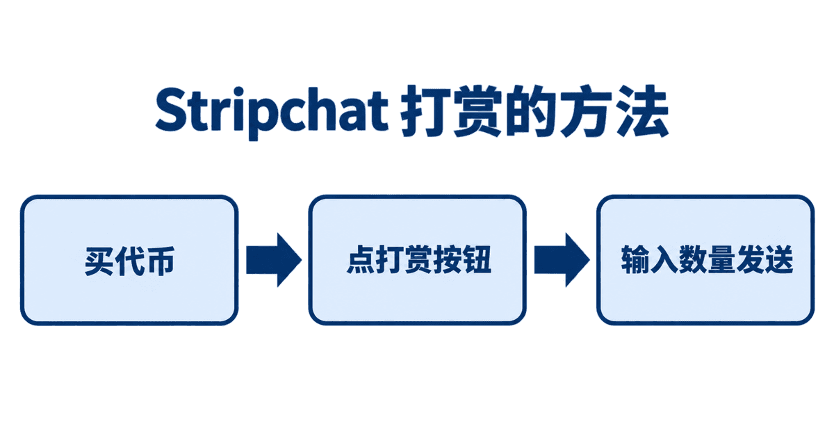 Stripchat 打赏的方法：买代币→点打赏按钮→输入数量发送
