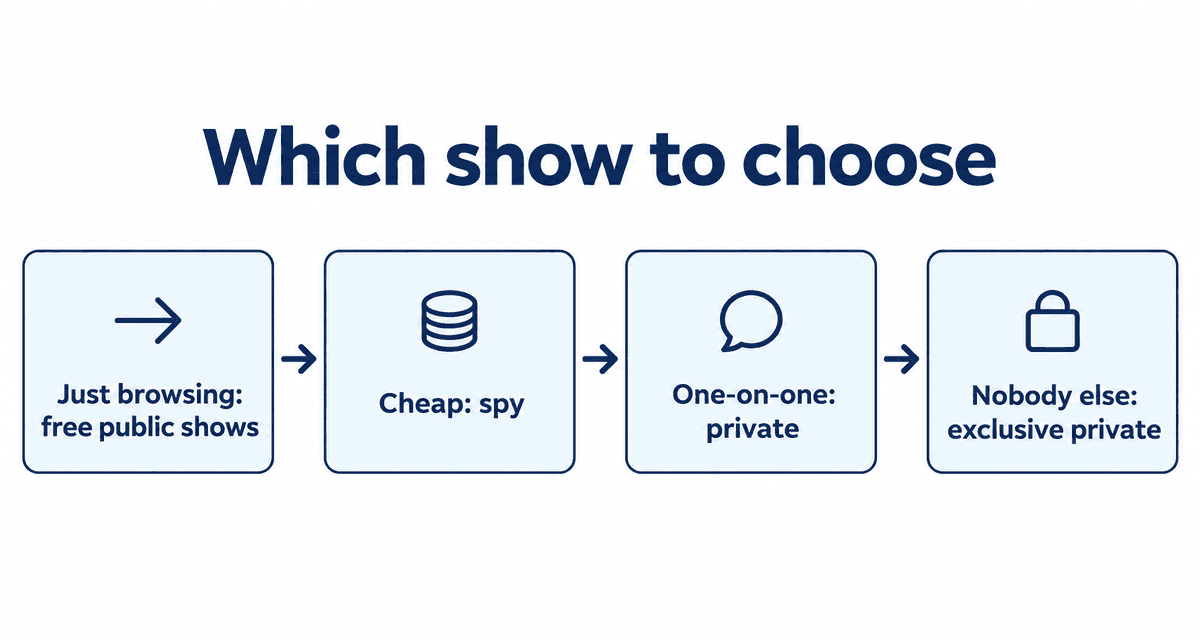 Which show to choose: Just browsing: free public shows, Cheap: spy, One-on-one: private, Nobody else: exclusive private