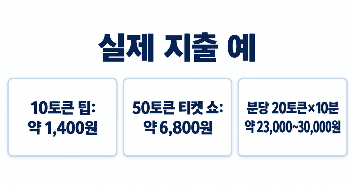 실제 지출 예: 10토큰 팁 약 1,400원, 50토큰 티켓 쇼 약 6,800원, 분당 20토큰 프라이빗 쇼 10분 약 23,000~30,000원