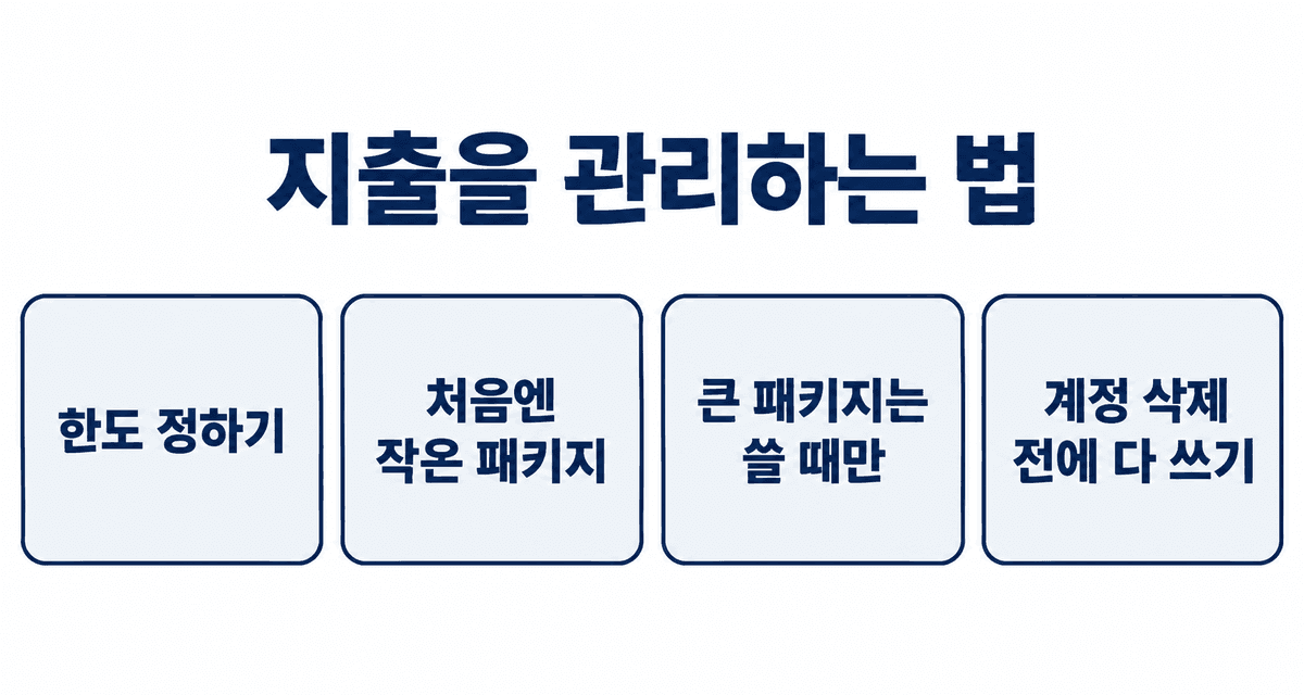 지출을 관리하는 법: 한도 정하기, 처음엔 작은 패키지, 쓸 게 확실할 때만 큰 패키지, 계정 삭제 전에 토큰 다 쓰기
